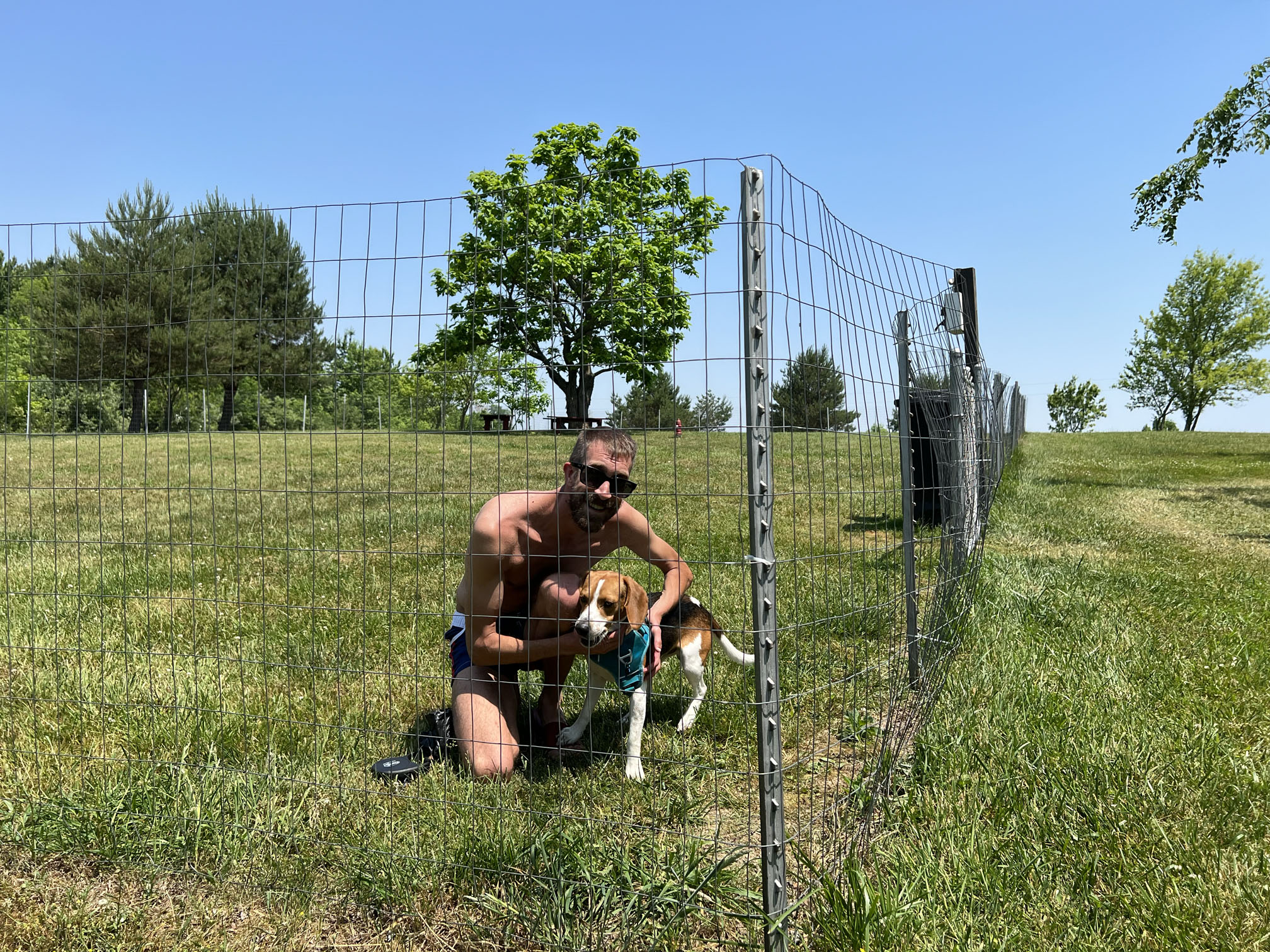 View of the dog park